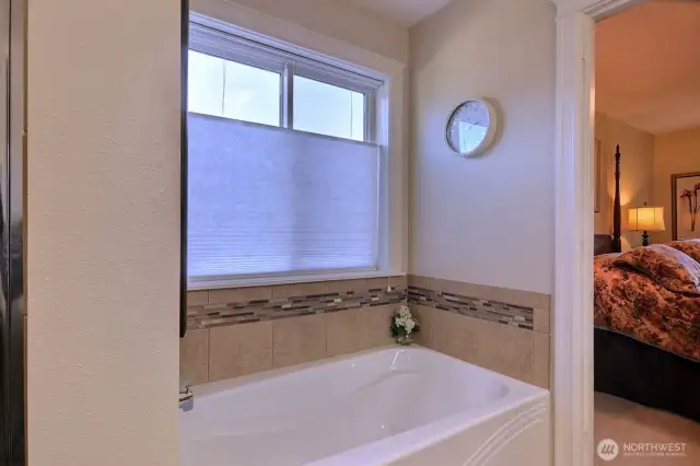 Bathtub in primary bathroom