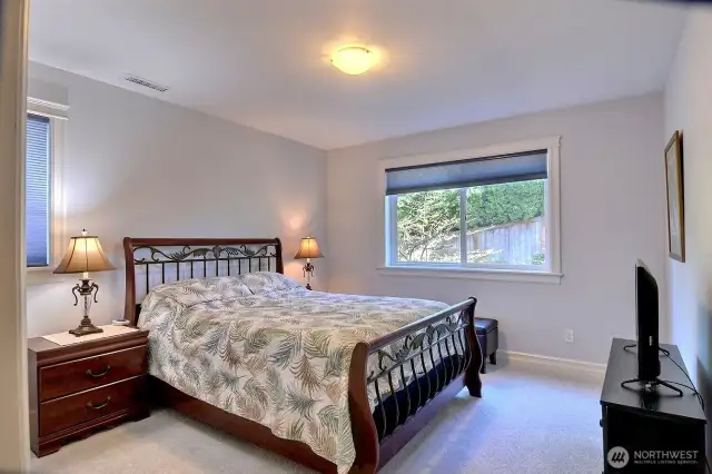 Lower level bedroom