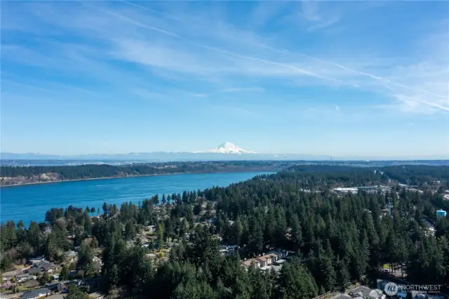 Aerial view of the area
