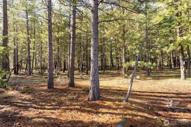 Lot B from Early Winters Drive.