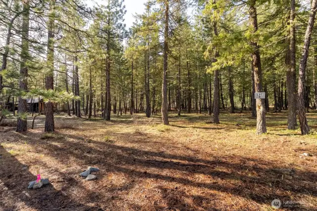 Inspired quality homes and cabins in the neighborhood of Early Winters, Wilson Ranch, Mazama.