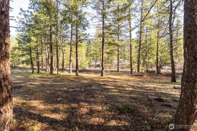 Level treed Lot B has electric and phone connection at Lot together with hook-up to Community water & community drain-field. New owner installs their own septic tank once ready to connect to home.