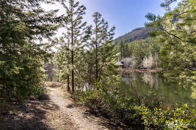 Lakeside trail by Lot B for a morning walk everyday!