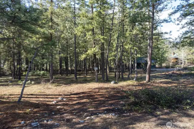 Make this your landscape to design a mountain home or cabin on the Lake at 21 Early Winters Drive, Mazama.