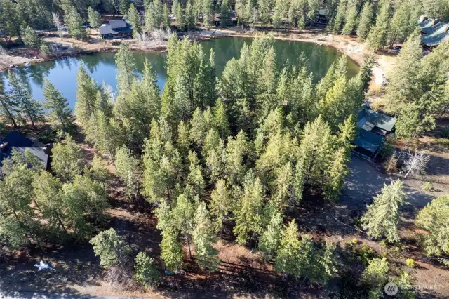 Treed setting for your Mountain Cabin or home here.