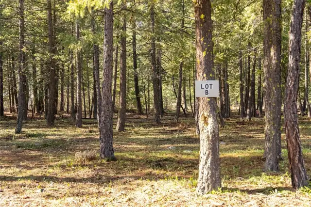 Lot B at 21 Early Winters Drive. Nicely treed Lakeside Lot ready for your dream of building a mountain cabin or home.