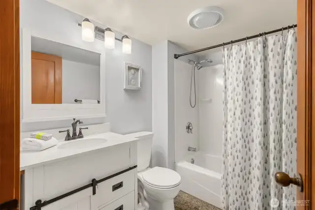 Lower Level bath