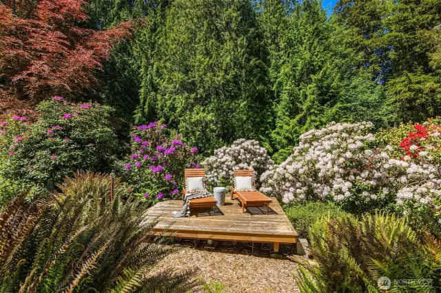 Sun Deck in garden area