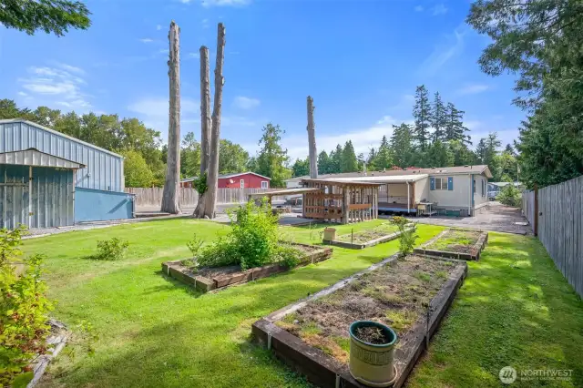 Beautiful backyard with raised garden beds