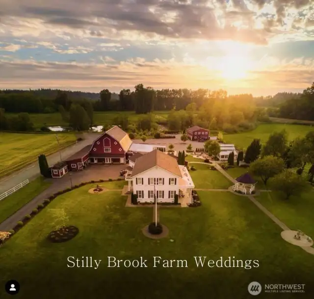 Wedding site picture