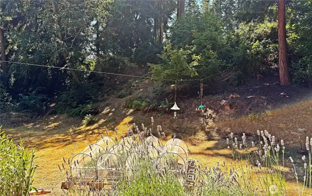 Very private backyard!  Lot goes much further south, for great privacy.