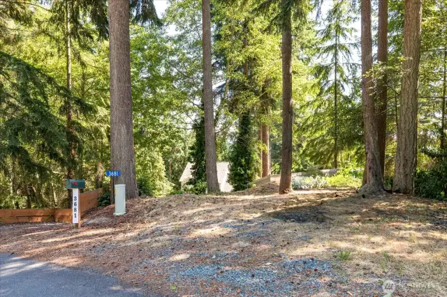 Extra parking on property at Harper.