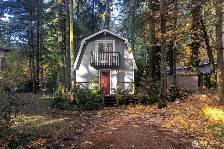 Looking down the dirt driveway at the house