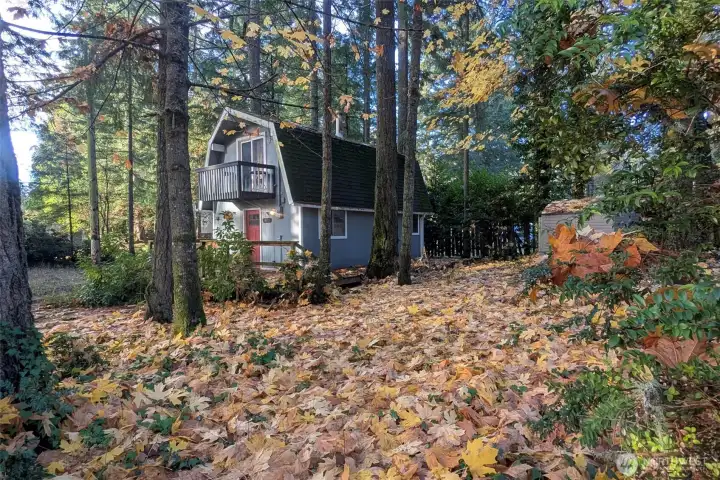 Right side of house with full side yard