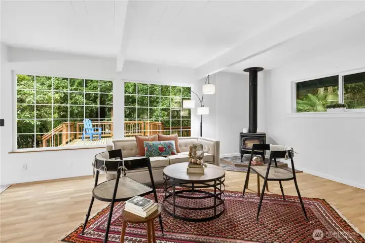 Wood burning stove with enough wood in the backyard storage to last you the next few winters