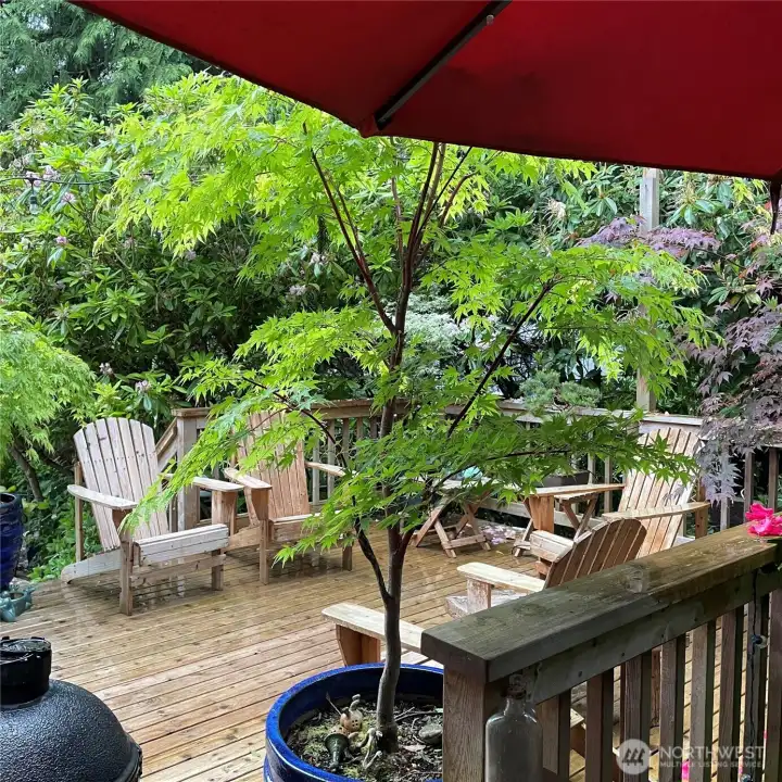 Mid summer photos provided by seller, yard and deck in all its glory!