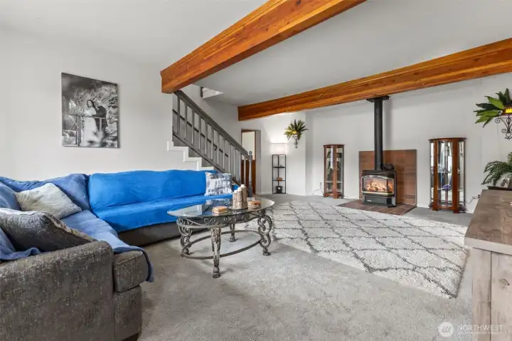 Cozy and spacious family room