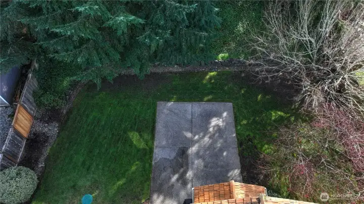 Private backyard oasis surrounded by mature trees offers tranquility and seclusion—perfect for relaxing or entertaining.