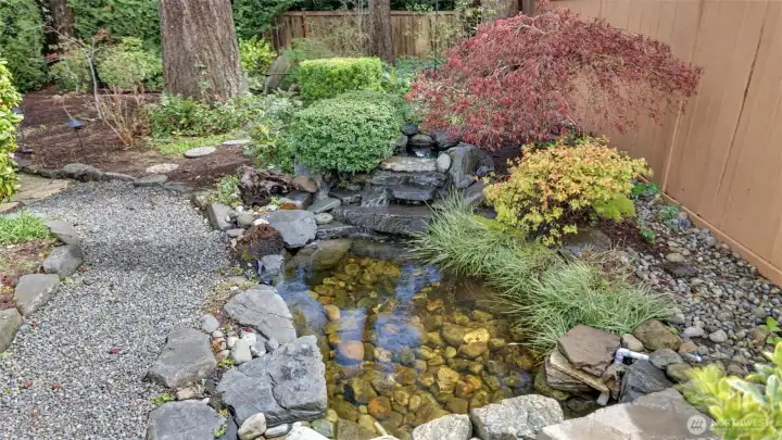 Don’t miss the charming backyard pond!