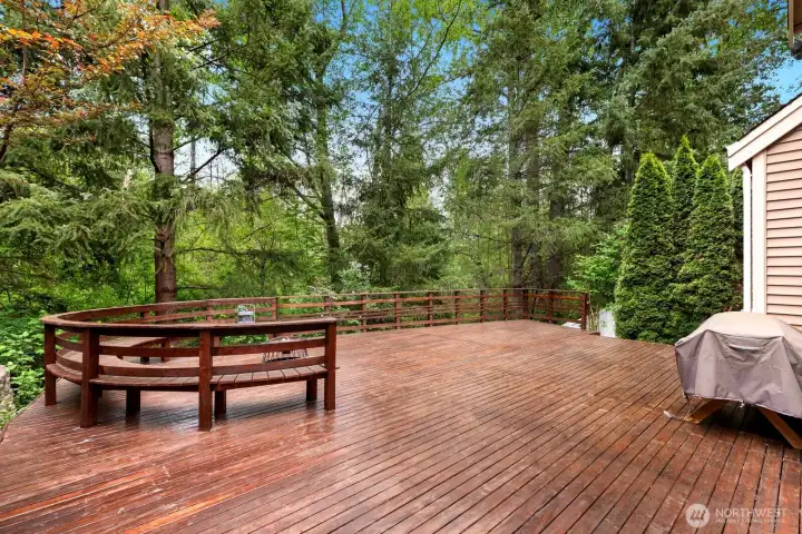 Oversized backyard deck surrounded by greenery.