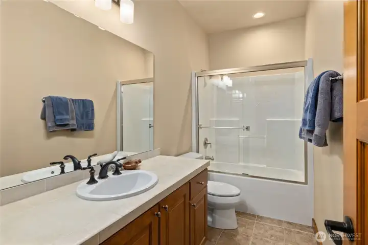 Down Stairs Bathroom