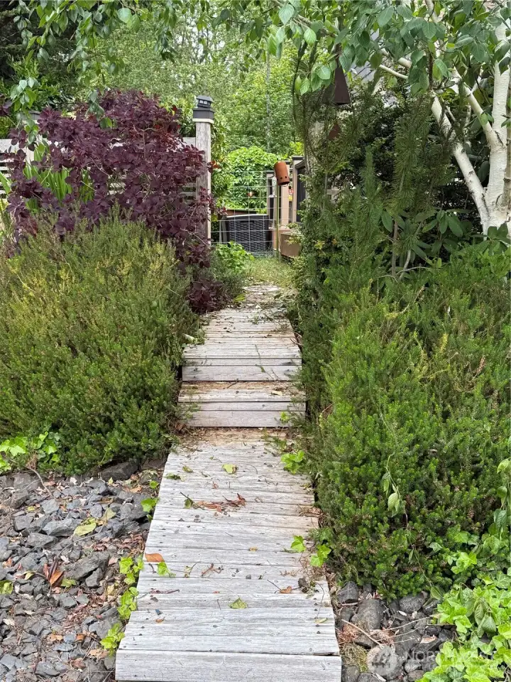 front yard
