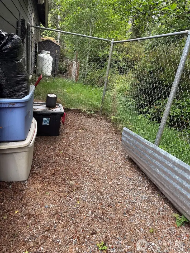 Back of house dog kennel