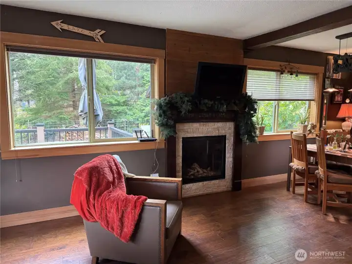 Living room with propane fireplace