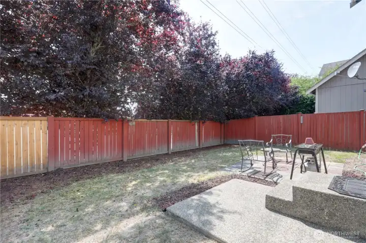 The low-maintenance backyard offers a patio for entertaining, mature trees for privacy, and open lawn space. The low-maintenance backyard offers a patio for entertaining, mature trees for privacy, and open lawn space.