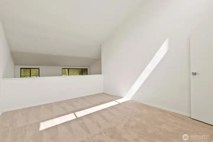 Brand New Carpet & Padding