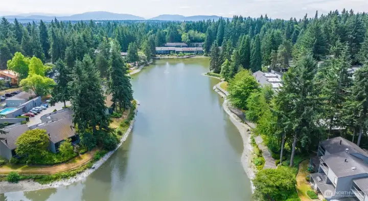 Privacy & Serenity in Redmond.