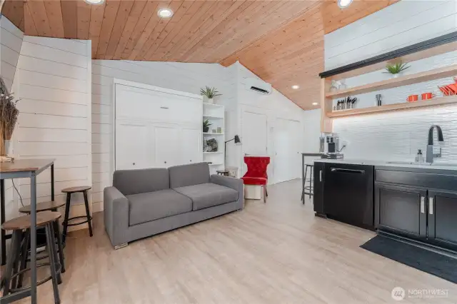 Nice size living area with a murphy bed.