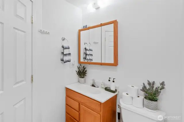 Second bathroom downstairs.