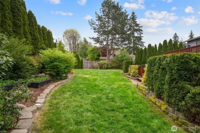 Relax in your beautiful, fenced in private backyard with year round foliage.