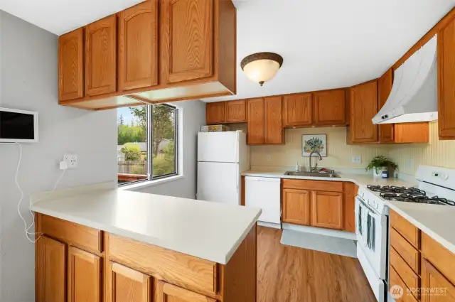 Kitchen has an island with plenty of storage and Corian counter tops.