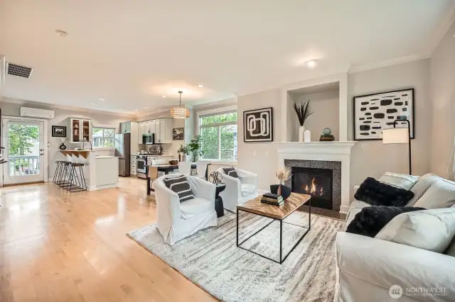 WOW - 9 ft ceilings - fresh paint throughout - real hardwood maple floors - huge windows - fireplace and updated kitchen!