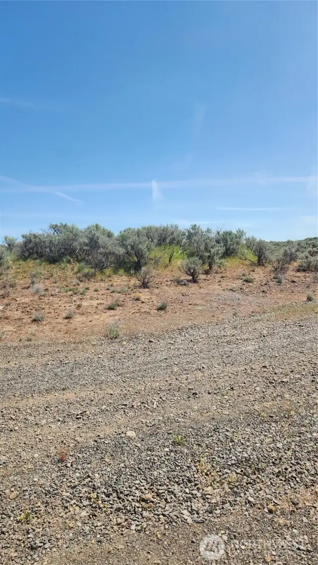 Driving up to Lot 12