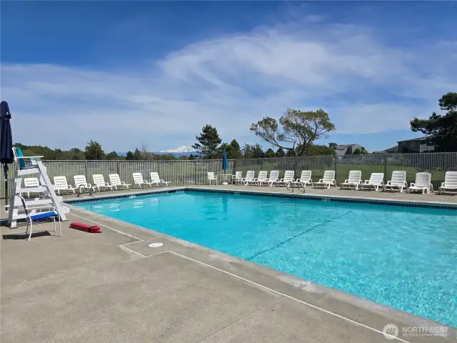 The community amenities include this fabulous community pool...along with pickleball, golf, and more!