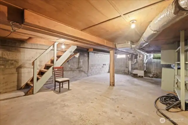 Unfinished basement.