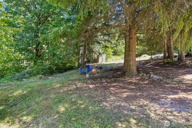 Multiple building areas, RV and campsite areas, as well. The storage shed is in the background and the property line extends far beyond the shed area.