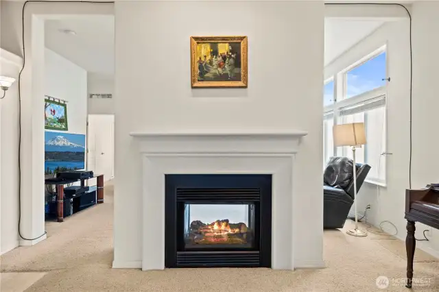 See through fireplace