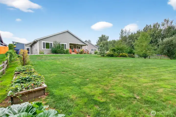 Dreamy yard