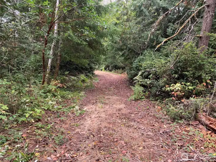 Driveway to the center of the lot.