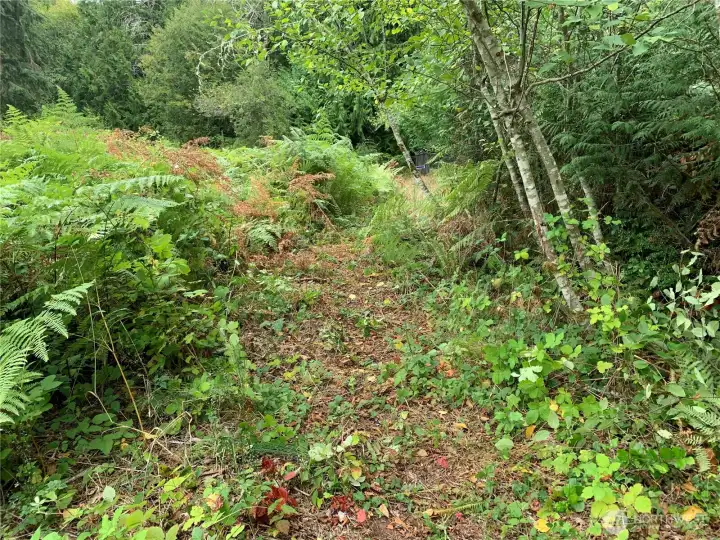 Trail is easy to follow, no bushwacking.