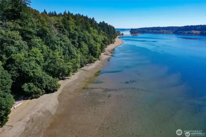 Looking down the community beach towards Driftwood Point. The small island in the middle of Pitt Passage would make an awesome kayak destination!