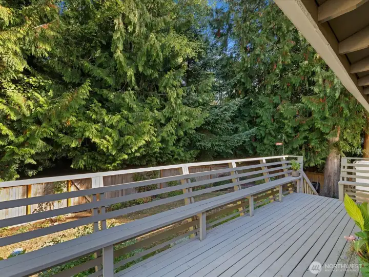 Upper Deck - Privacy!