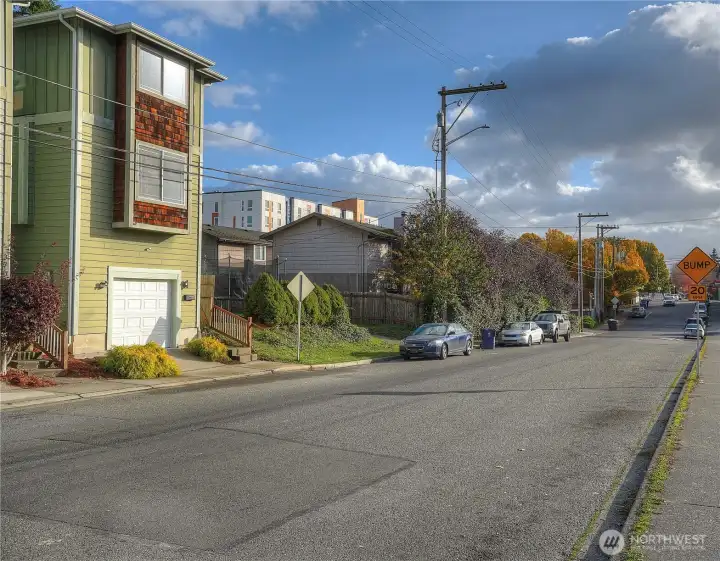 Feels like living in a treehouse