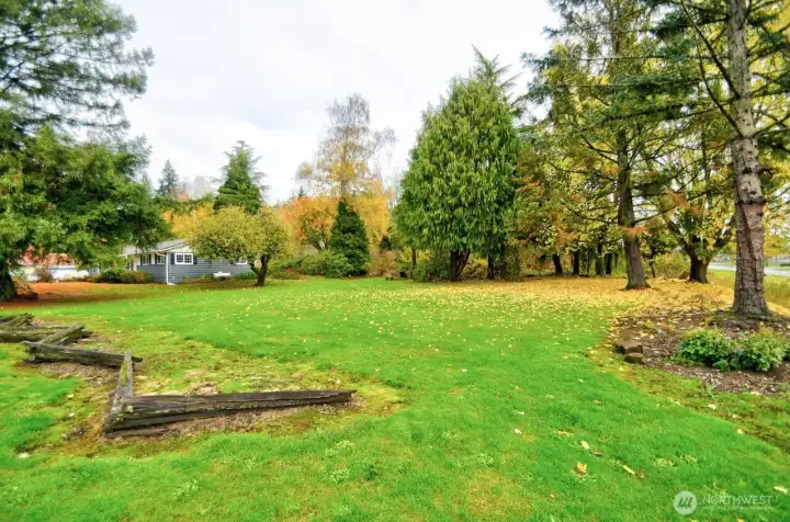 More views of the additional lot