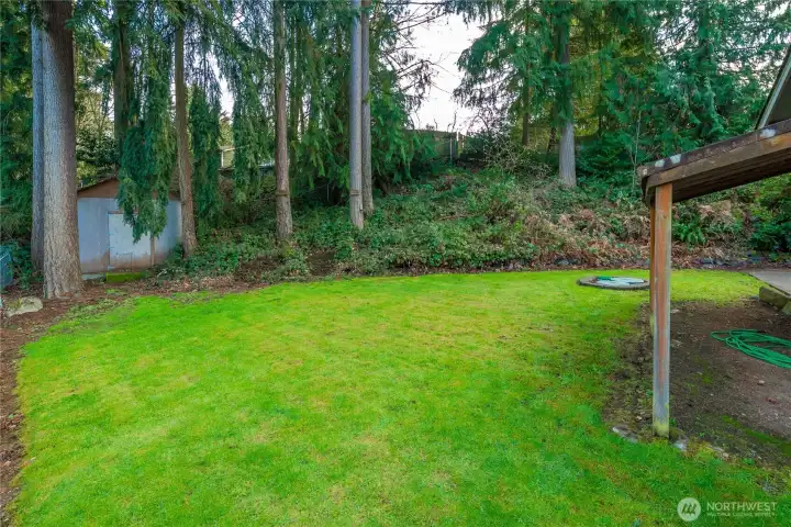 Mature trees add to the privacy in backyard,