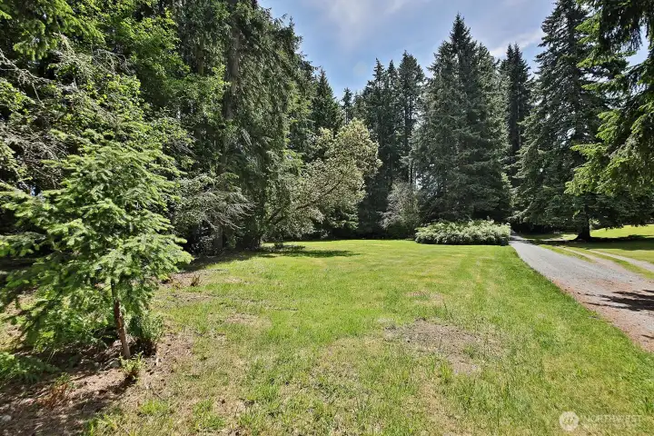 Sunny, level open area of the 2 +/- acres
